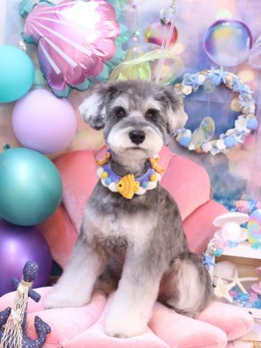 20240820ビッケくん